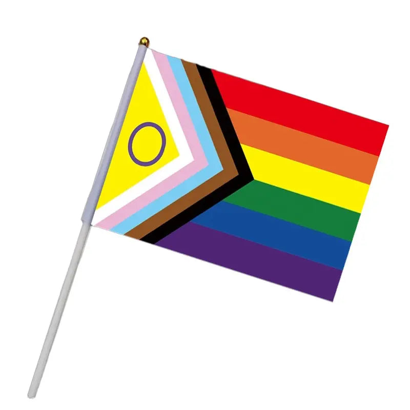 Handheld Progress Pride Flag - Proud Supplies - LGBTQ+ Gay Pride Shop