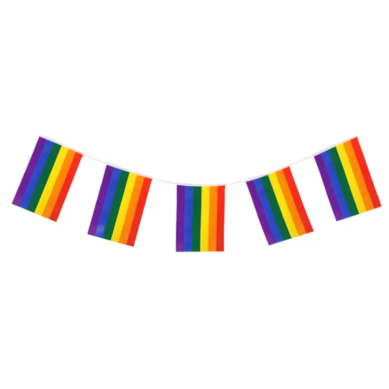 Rainbow Pride Bunting (10m)