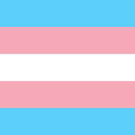 Transgender Pride Products