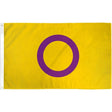 Intersex Pride Flag (5ft x 3ft) - Proud Supplies