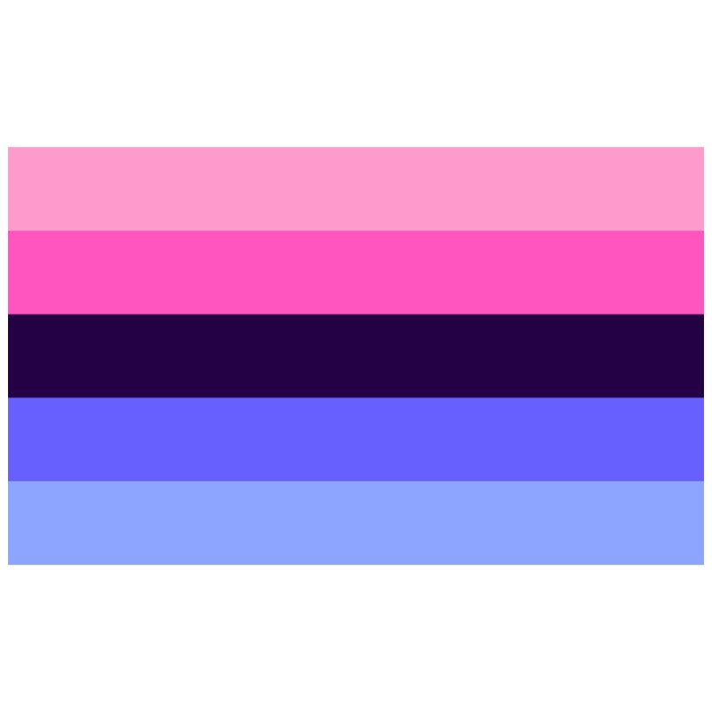 Omnisexual Pride Flag (5ft x 3ft) - Proud Supplies