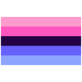 Omnisexual Pride Flag (5ft x 3ft) - Proud Supplies