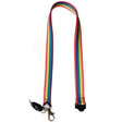 Progress Pride Flag Lanyard - Proud Supplies