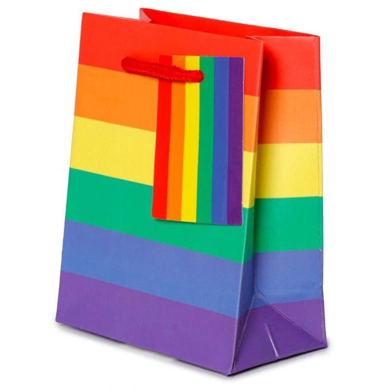 Rainbow Gift Bag - Small - Proud Supplies